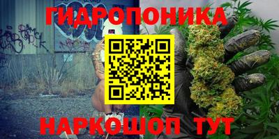 прущий лед Гатчина